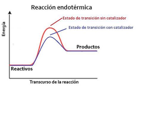 Dibuja un diagrama de energía potencial para una reacción endotérmica