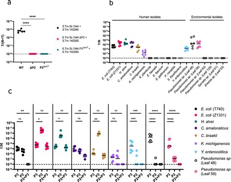 The Mobilizable Plasmid P3 Of Salmonella Enterica Serovar Typhimurium