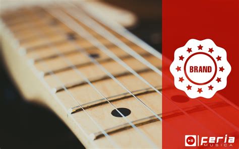 7 meilleurs manches de guitare électrique Guide Feria Musica