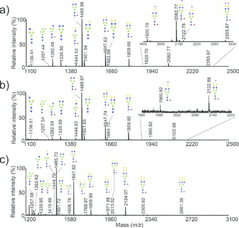 Maldi Tof Ms Spectrum Of N Glycans Enzymatically Released From The