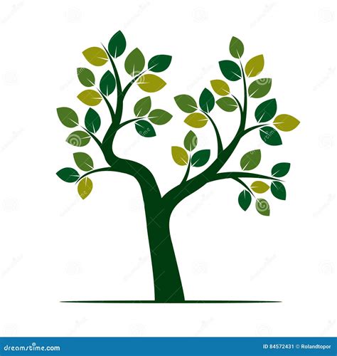 Arbre Vert Illustration De Vecteur Illustration Stock Illustration Du