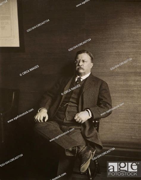 Theodore Roosevelt 1858 1919 26th President Of The United States 1901 09 Seated Portrait