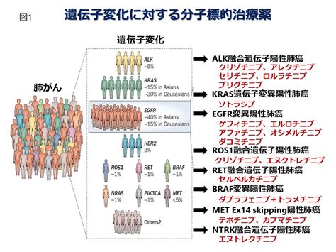 第15回 あなたがもし肺がんと診断されたら 国立がん研究センター 東病院