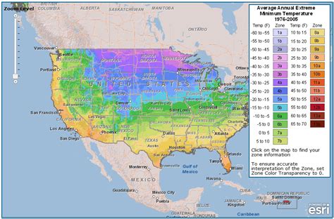 Determining What to Plant: Gardening 101 - Young Wife's Guide