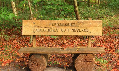 Free Images Tree Nature Wood Trail Bench Leaf Seat Old Walk