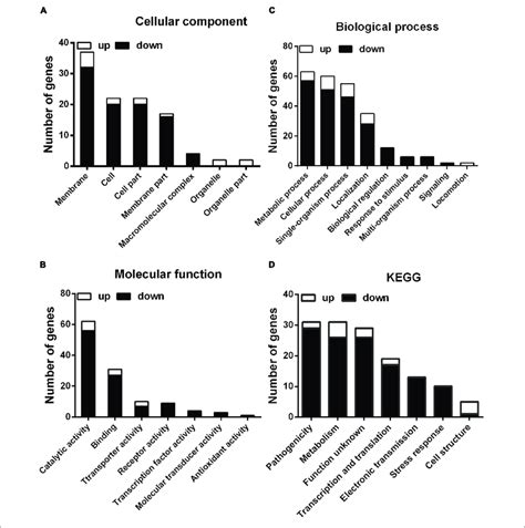 Classification Of Differentially Expressed Genes By Gene Ontology