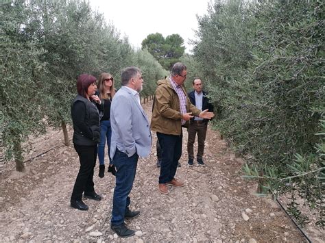 El alcalde visita la aceitera villenense Marsala El Periódico de Villena