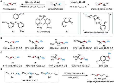 Phosphine Ligand Dependent Nickel Catalyzed Regiodivergent