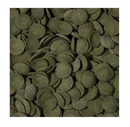 Tropical GREEN ALGAE WAFERS 300g GLONOJAD ZBROJNIK 6438884759 Allegro Pl