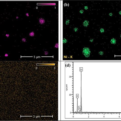 The Edx Mapping And Edx Spectrum Of Zno Nps A Edx Mapping Of Zn B