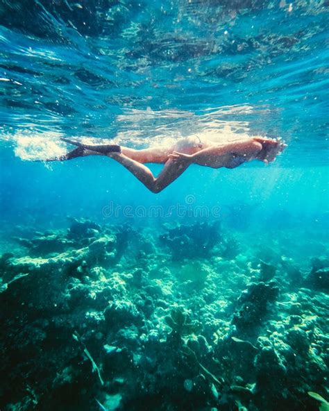 A Woman Snorkeling Over Coral In Blue Waters Stock Image Image Of