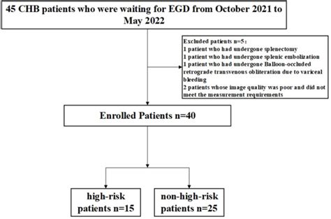 Prediction Modelling For Gastroesophageal Variceal Bleeding In Patients