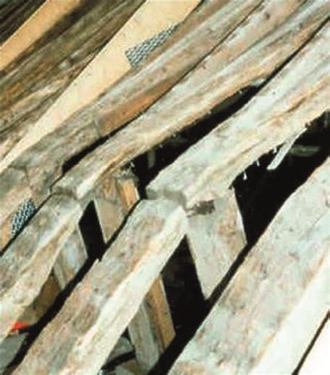 Timber Roof