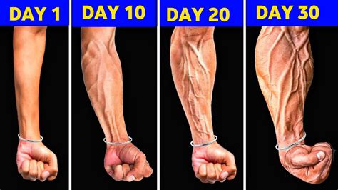 Top Forearm Workouts Effective Exercises To Build Bigger Forearms At