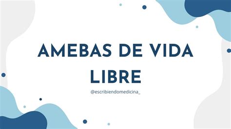 Amebas De Vida Libre Escribiendomedicina UDocz