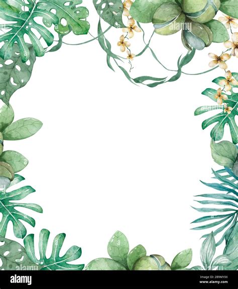 Hand Drawn Watercolor Tropical Banner With Jungle Leaves Exotic Leaves