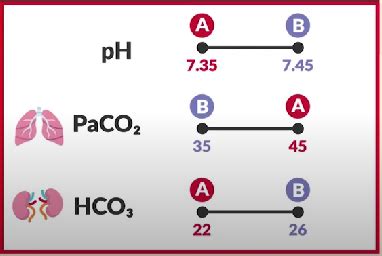 Acid Base Flashcards Quizlet