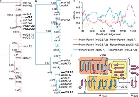 Evidence For The Intragenomic Recombination Of Adenylation Domains A