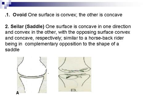 Peripheral Joint Mobilization Ii Basic Concepts Of Joint