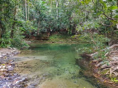 26 Best Swimming Holes & Waterfalls near Cairns with Map