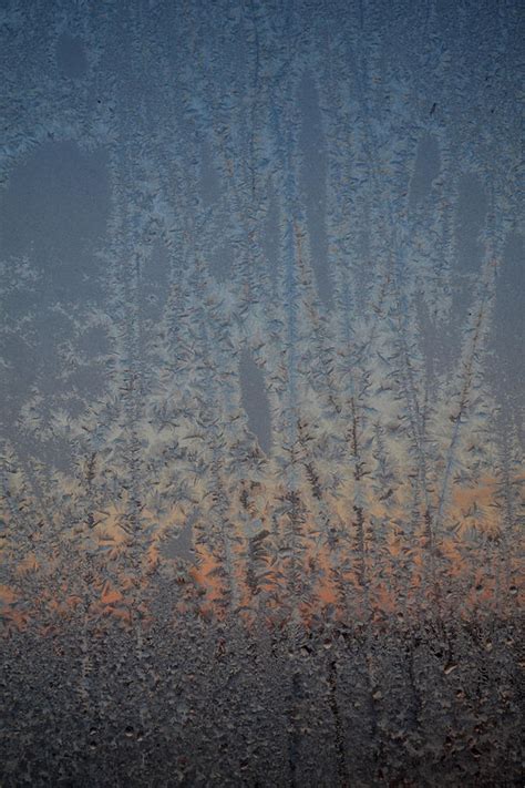 Frost At Sunrise Photograph By Lyle Crump Fine Art America