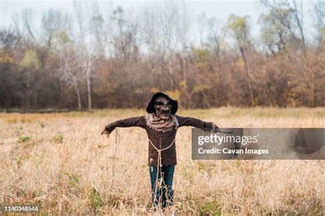 121 Scarecrow Faces Stock Photos High Res Pictures And Images Getty