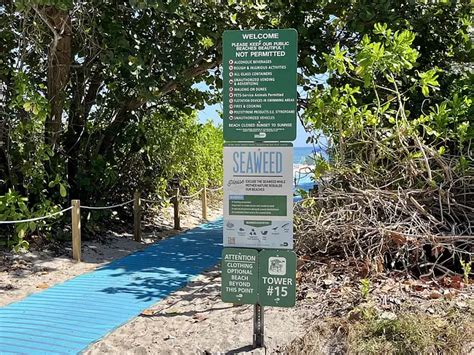 Haulover Beach Your Go To Guide To Miamis Famous Gay Nude Beach