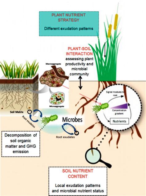 Seasonal Changes Of Soil Organic Carbon And Microbial Biomass Carbon In