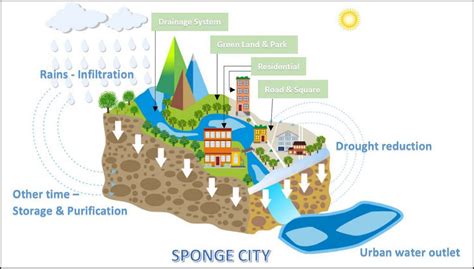 Sponge Cities Rtf Rethinking The Future