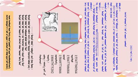 蒙古乐赛特 ᠮᠣᠩᠭᠣᠯ ᠰᠠᠢᠲ 蒙古文网站大全，上蒙古文网从mglsite开始