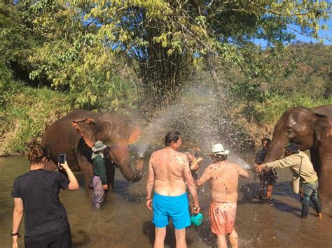 Chiang Mai Doi Inthanon National Park Elephants Sanctuary Getyourguide