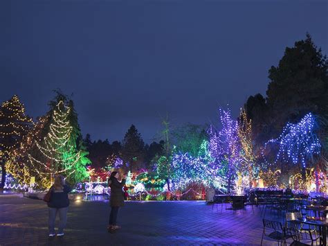 Vandusen Festival Of Lights Kicks Off Holiday Season Vancouver Sun