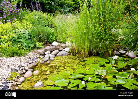 A Corner Of The Wildlife Friendly Garden In The Twigs Gardens In