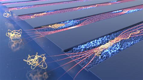 Scheiding Van Moleculen In Een Nanokanaal Dna Nrc