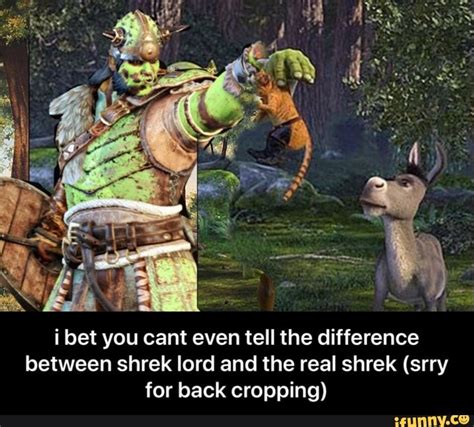 I Bet You Cant Even Tell The Difference Between Shrek Lord And The Real