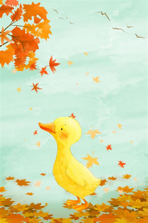 Yellow Duck Background