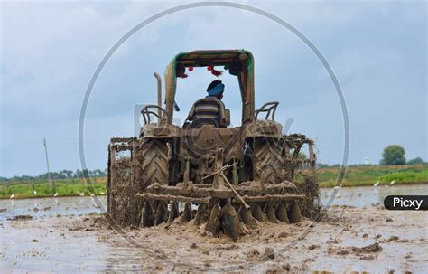 Image Of Farmer Ploughing A Rice Paddy Field With A Tractor Jk Picxy