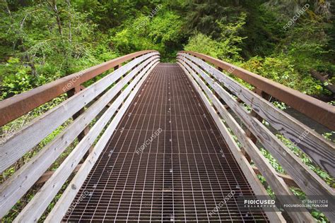 Walking Bridge In Silver Falls State Park — railing, scenic landscape ...