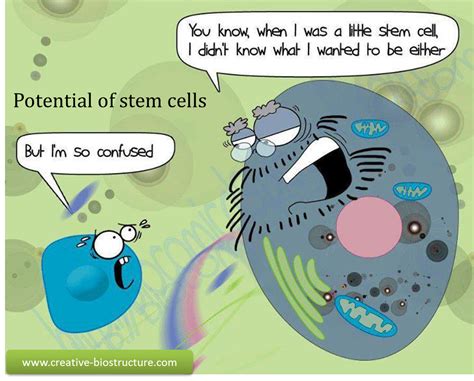 Science Jokes Something Funny Creative Biostructure Blog