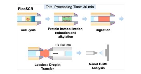 Picoliter Single Cell Reactor For Proteome Profiling By In Situ Cell