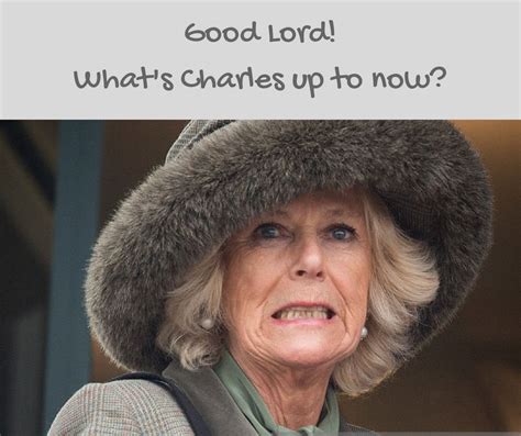 Charles and Camilla | Romance books, Fiction romance books, Fiction