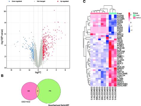 Expression Profiles Of DEGs In CAG A Volcano Plot Of DEGs Of