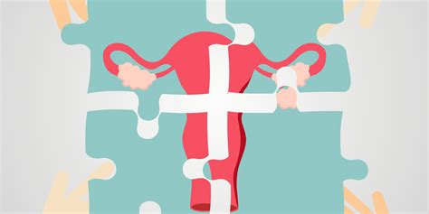 What Are Good Guidelines For Evaluating Uterus Transplantation