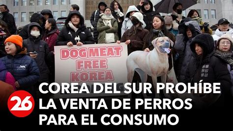 Corea Del Sur Proh Be La Venta De Perros Para El Consumo De Su Carne