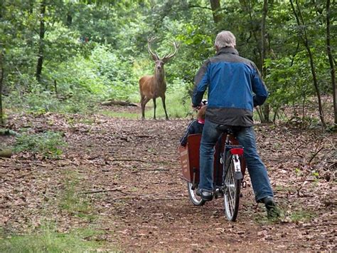 Dit Zijn De Mooiste Fietsroutes Van Nederland