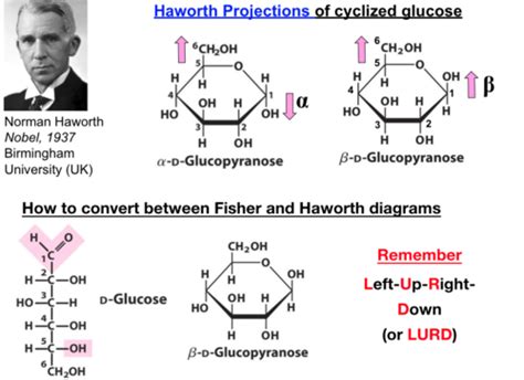 MCAT Biochemistry Unit 4 Carbohydrate Structure And Function