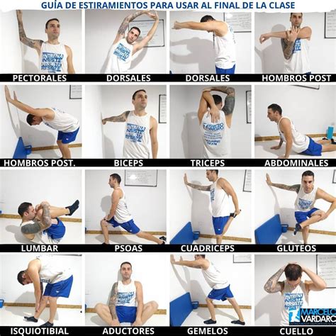 GuÍa De Estiramientos 🧘 • Te Dejamos Algunas Imágenes Con Diferentes
