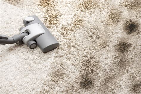 Carpet Cleaning Methods How To Properly Clean Your Carpet Cottier