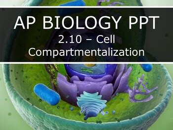 AP Biology 2019 2 10 Cell Compartmentalization By Dokimi Science PPTs