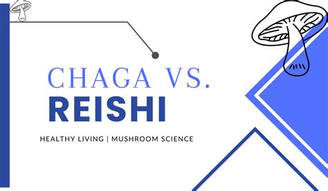 Chaga vs. Reishi (Differences & Which One Is Better?)